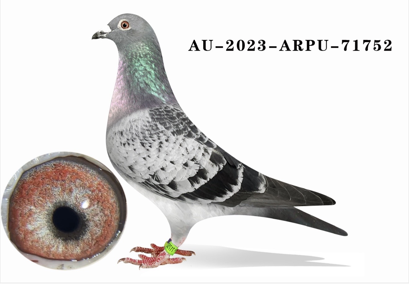 Au-23-ARPU-71752