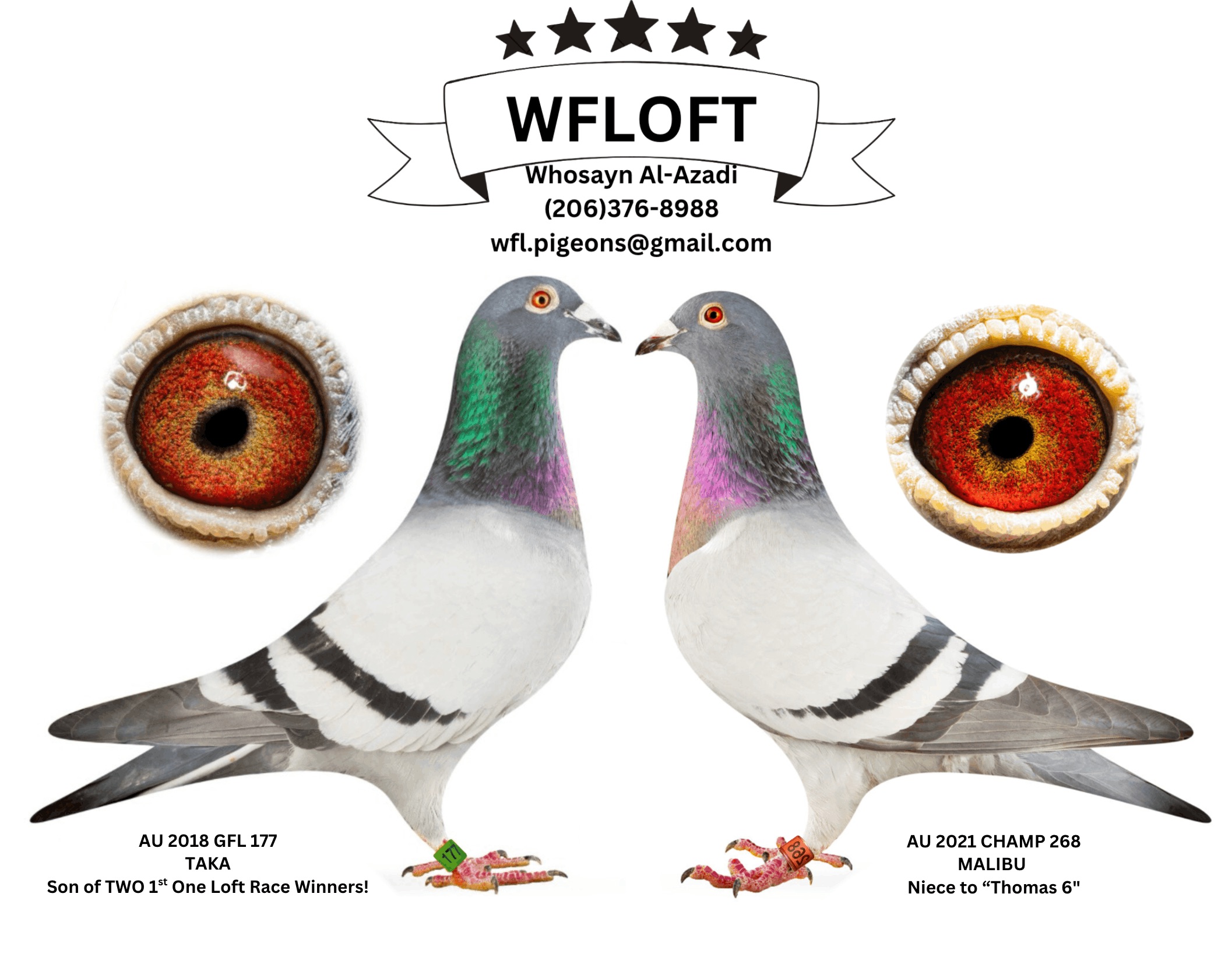 AU 2026 WFLOFT 30