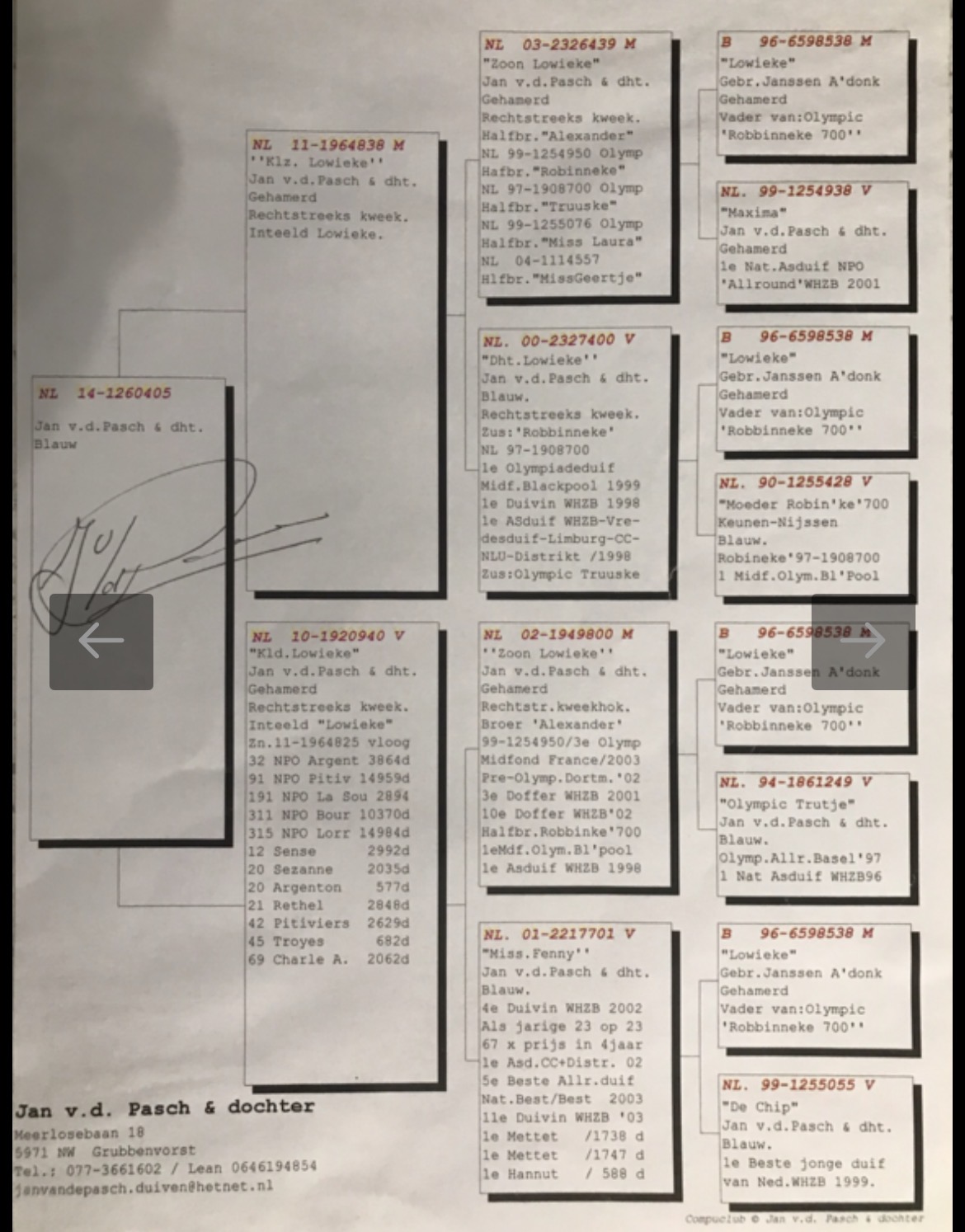 JANSSEN ARENDONK
"LOWIEKE"
"DE JONGE PRINS"