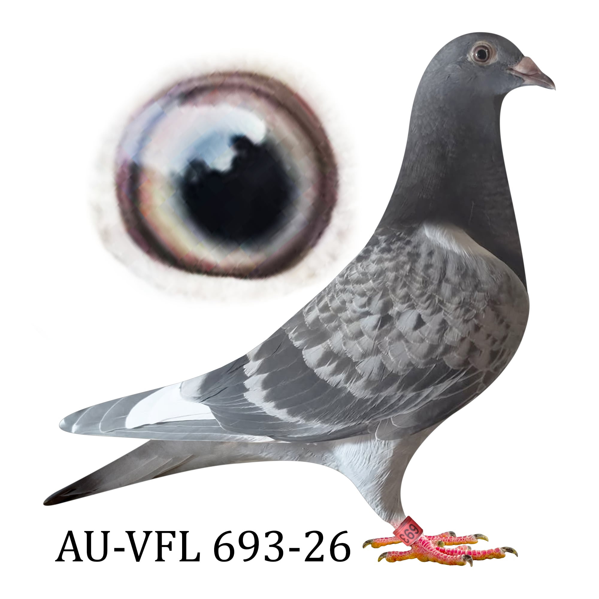 AU 26 VFL 693