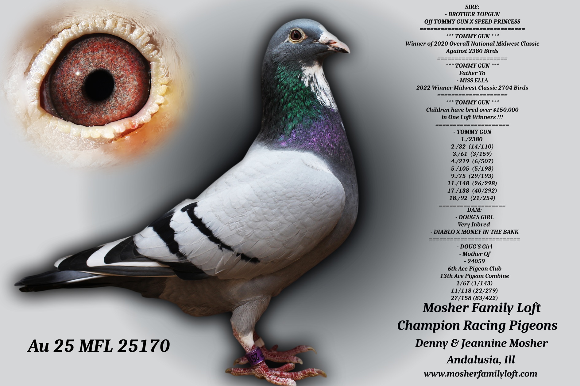 AU 25 MFL 25170 Cock