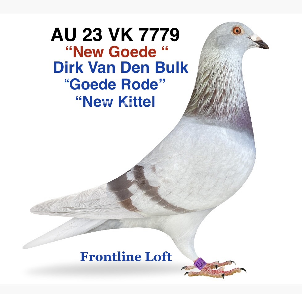 "Goede Rode"- "New Kittel