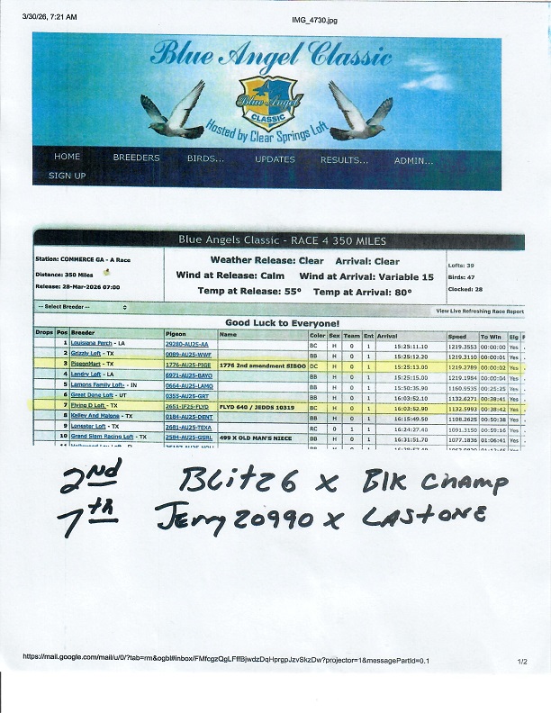 Preview Image 12