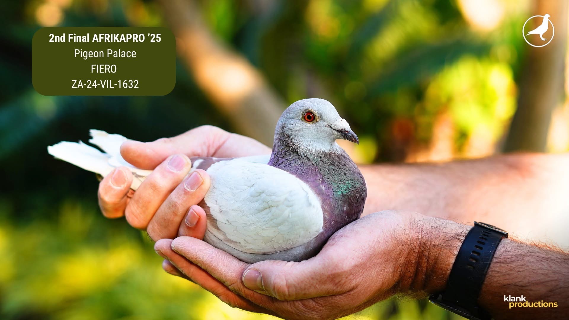 Preview Image 12