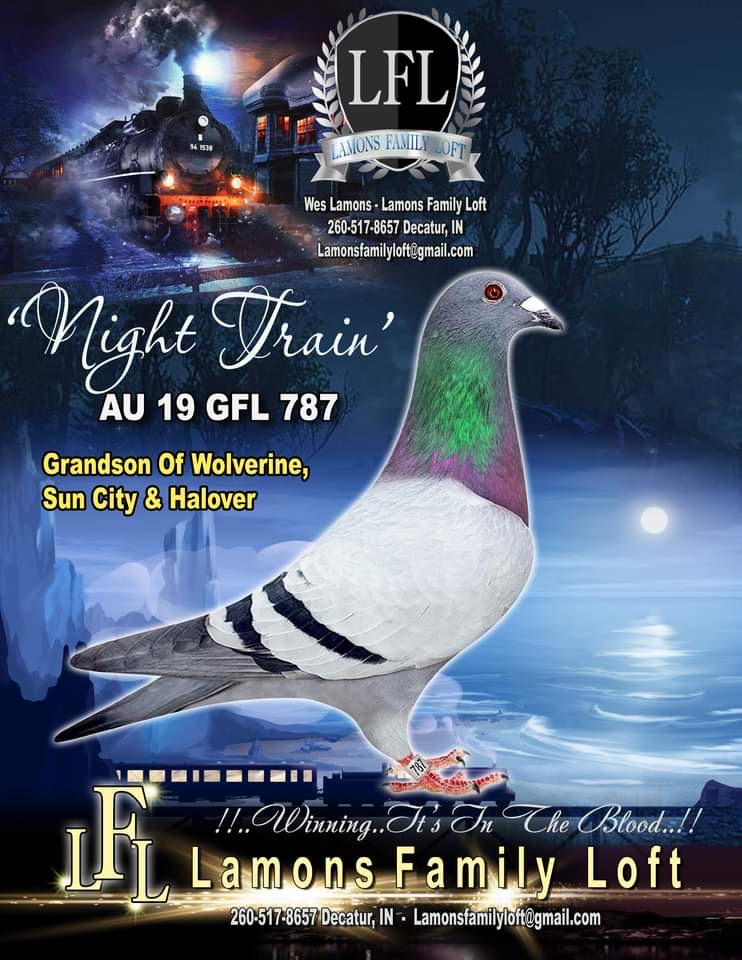 GFL 787-2019 “Cock”