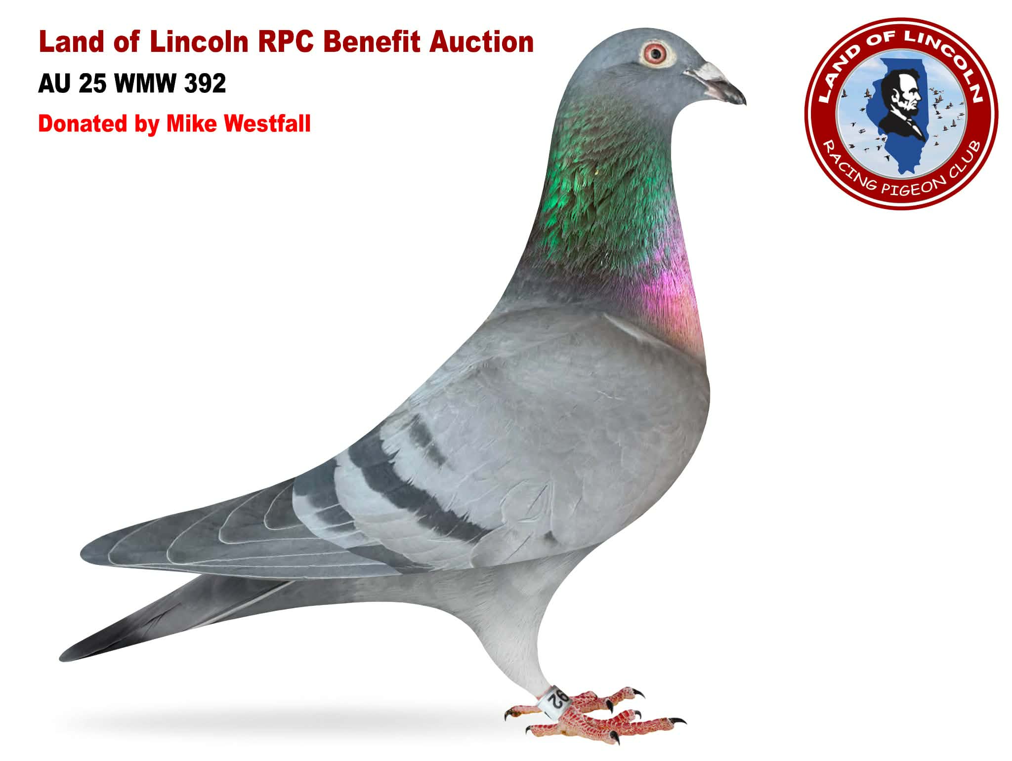 AU 25 WMW 392 BB Cock