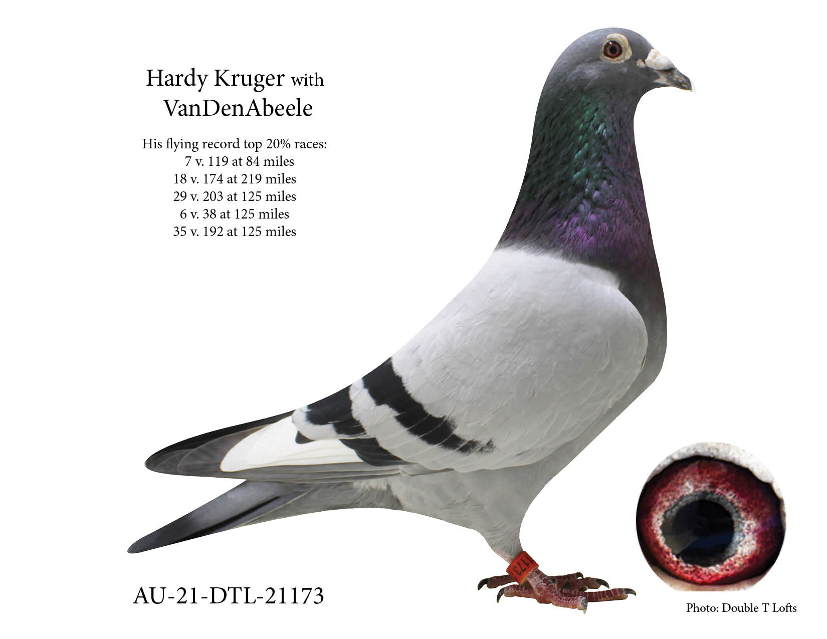 Hardy Kruger and VanDenAbeele