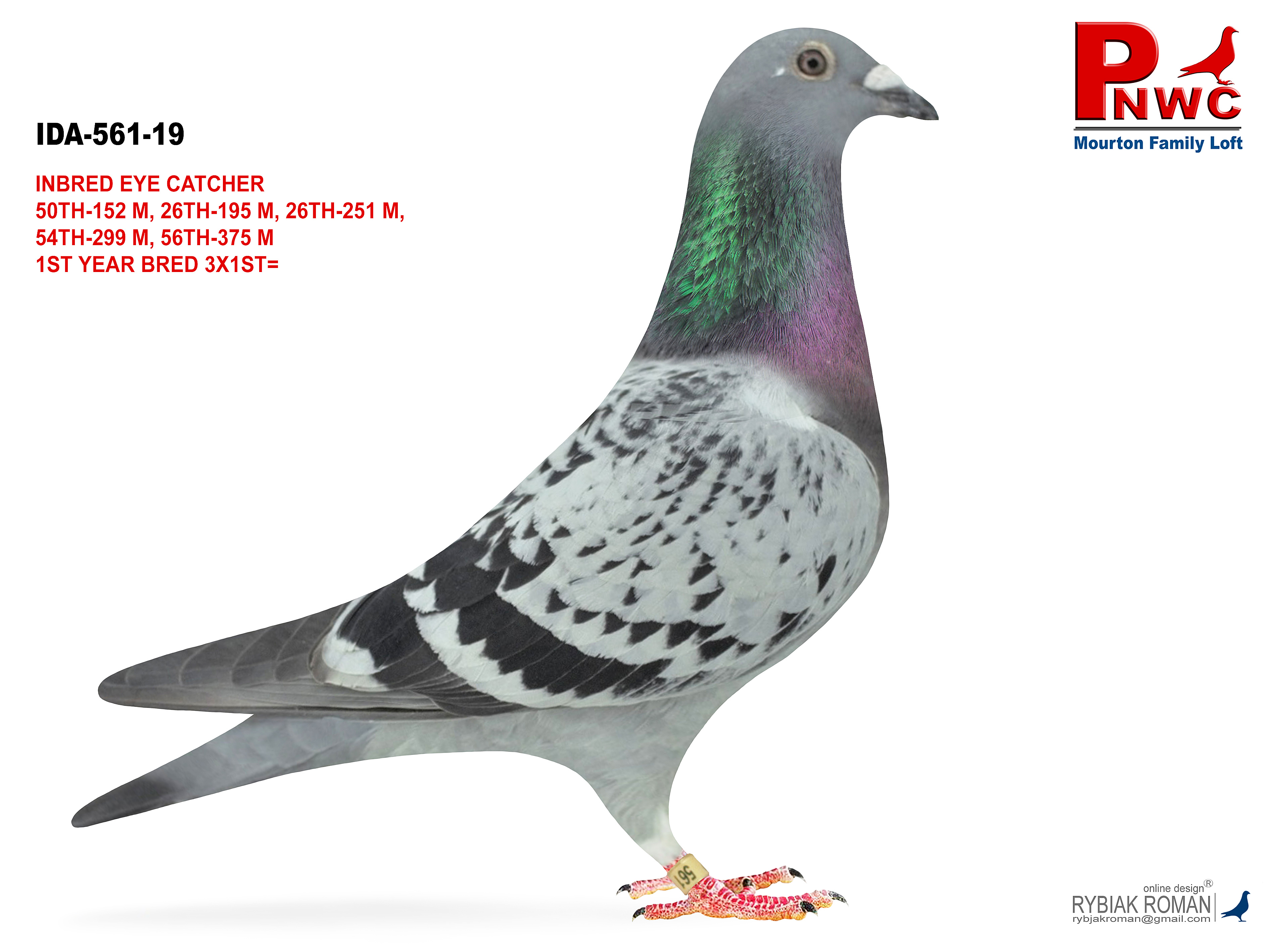 IDA-561-19 BCWF HEN