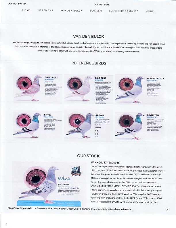 Preview Image 21