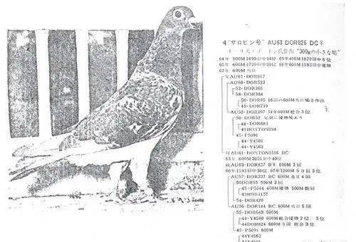Preview Image 4