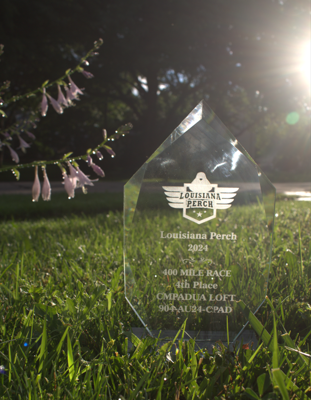 4th Placed in Lousiana Perch Olr at 400 miles optional races! Money winner!