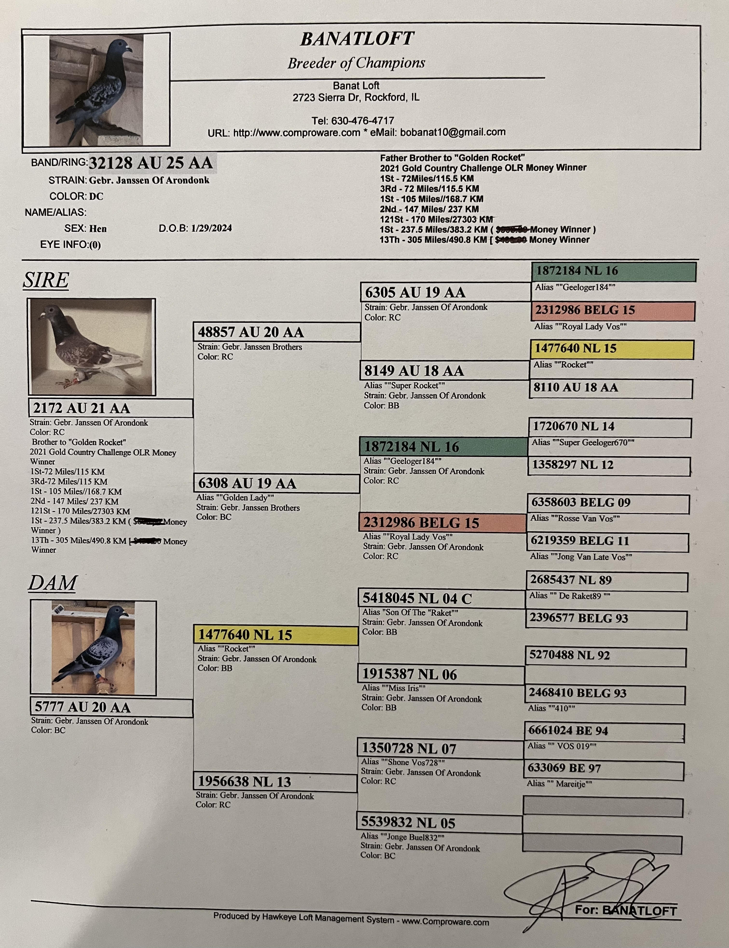 AU-25-AA32128 BC Cock