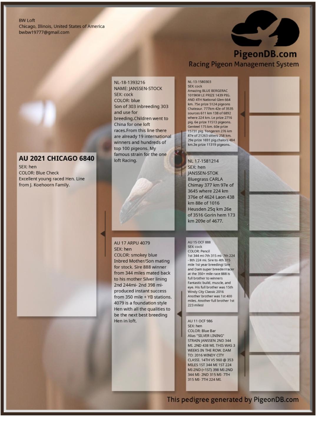 Preview Image 3
