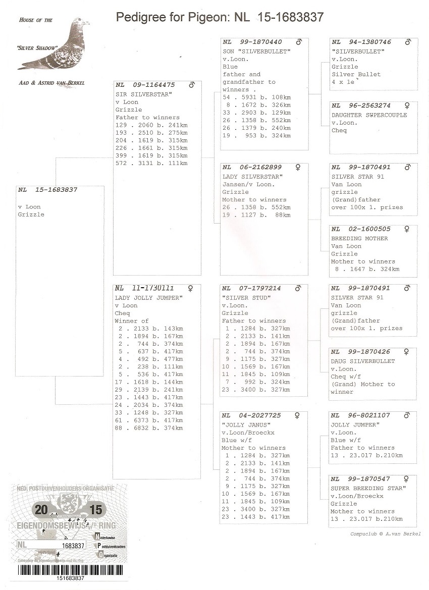 Preview Image 5
