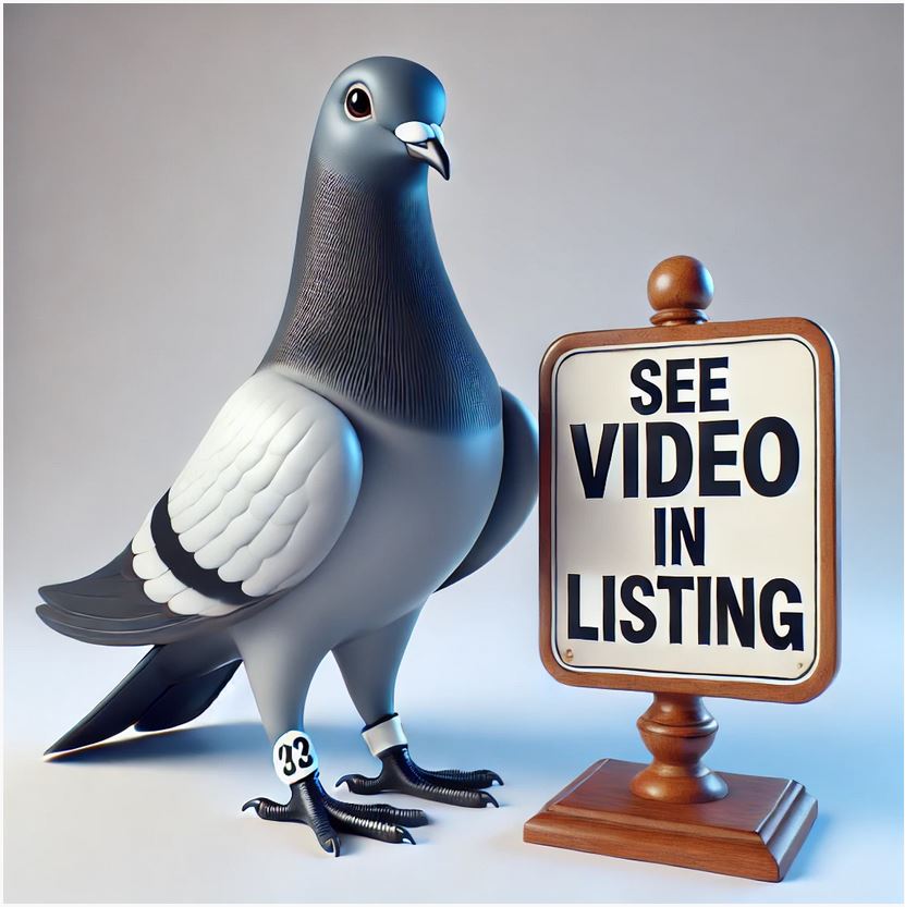 Marathon Distance Champion Blood