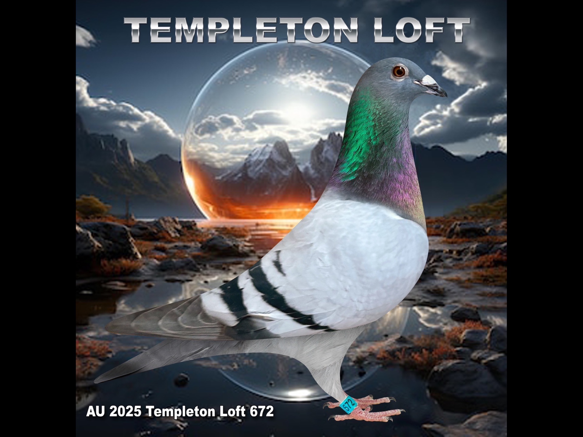 TEMPLETON LOFT 2025/672