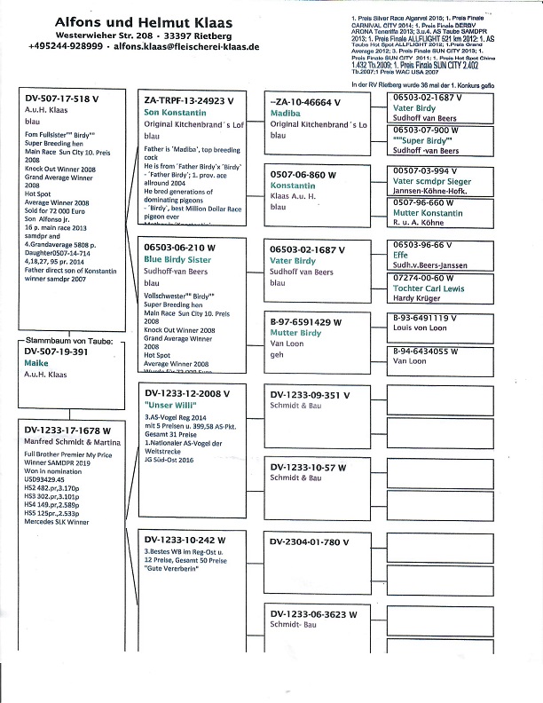 Preview Image 3