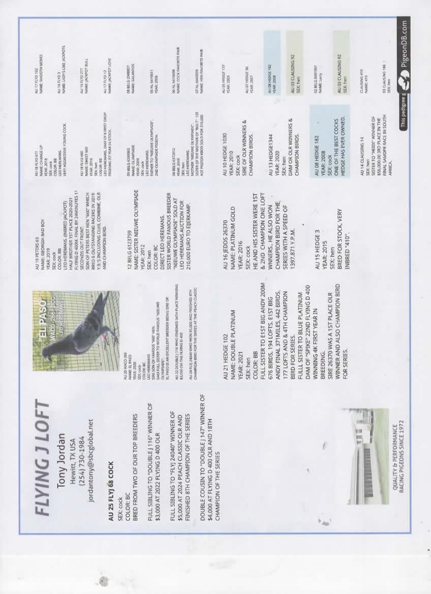 BEST OF OUR DYNASTY FAMILY