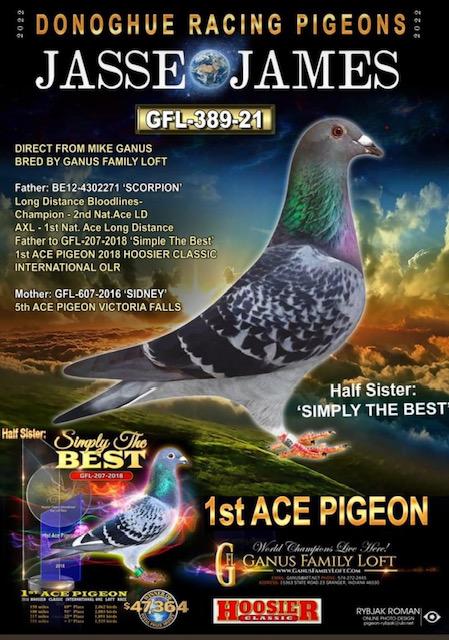 DIRECT OFF CHAMP 605 