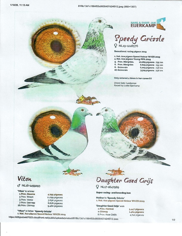Preview Image 12
