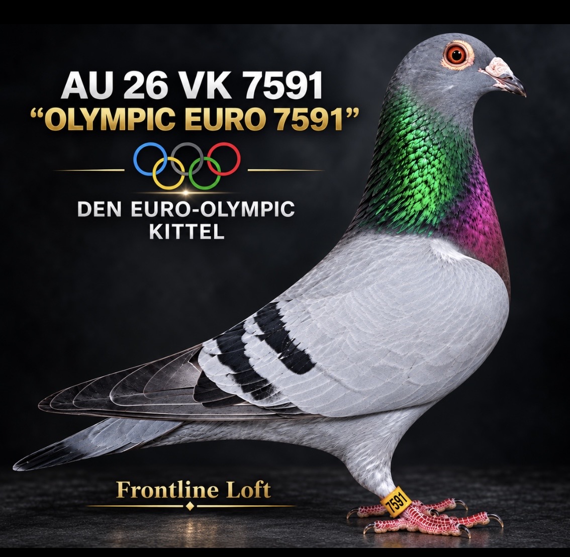 HEREMANS-CEUSTER-OLYMPIC KITTEL
