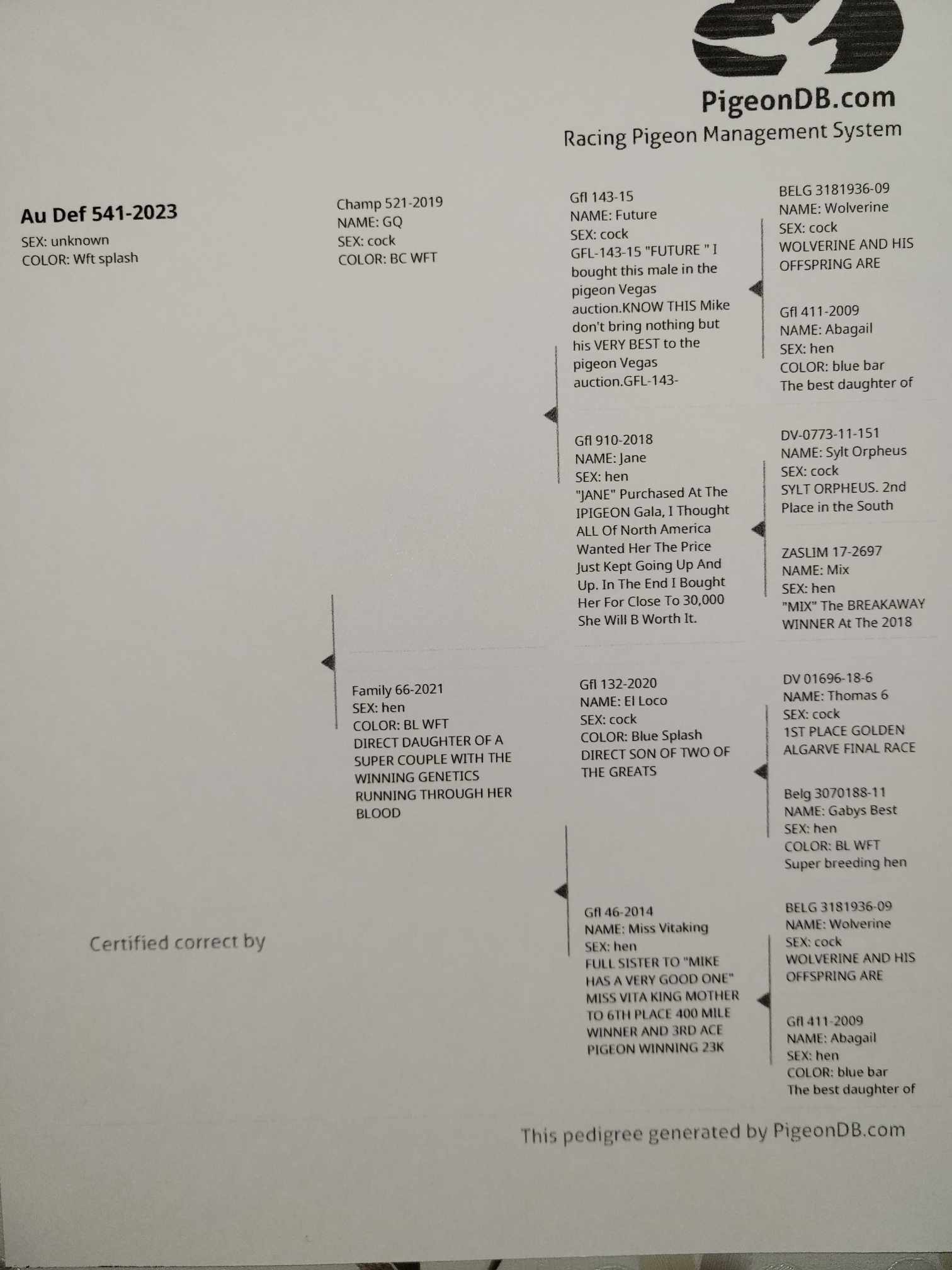 Preview Image 2