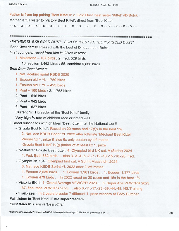 Preview Image 4