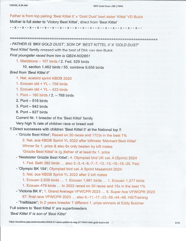 Preview Image 12