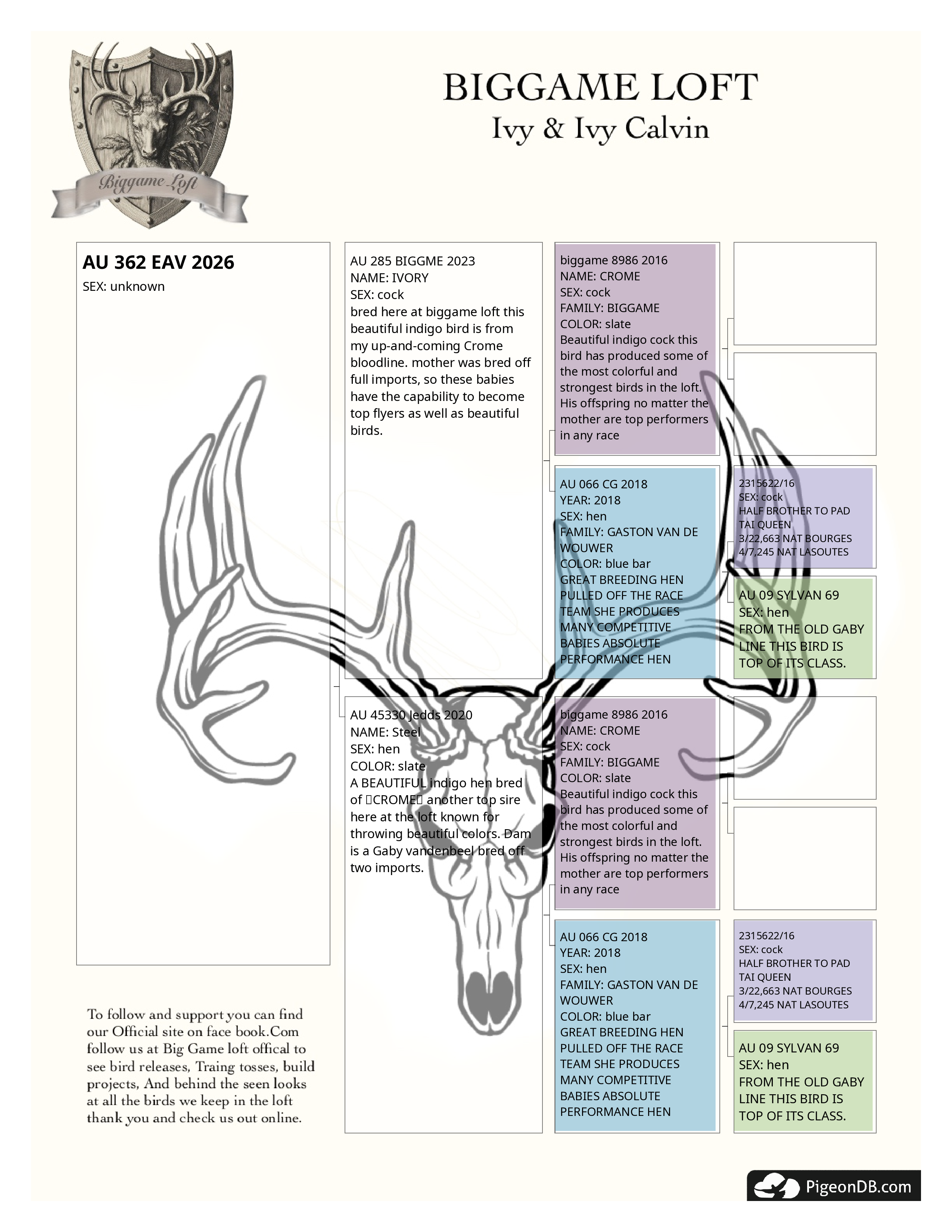 Preview Image 2