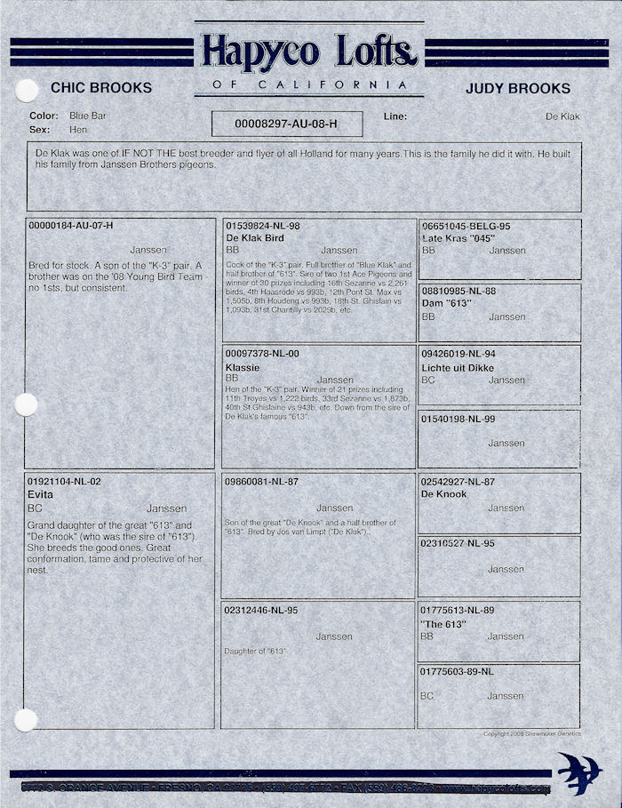 Preview Image 6