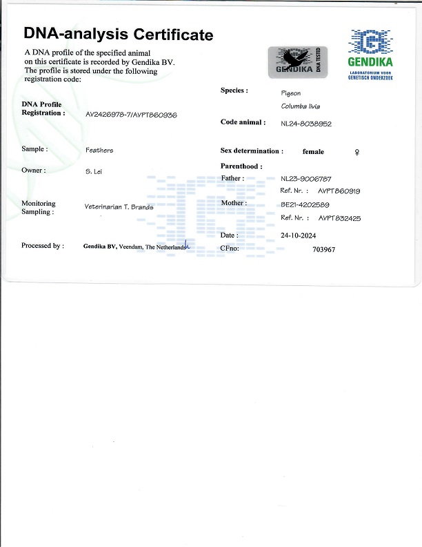 Preview Image 6