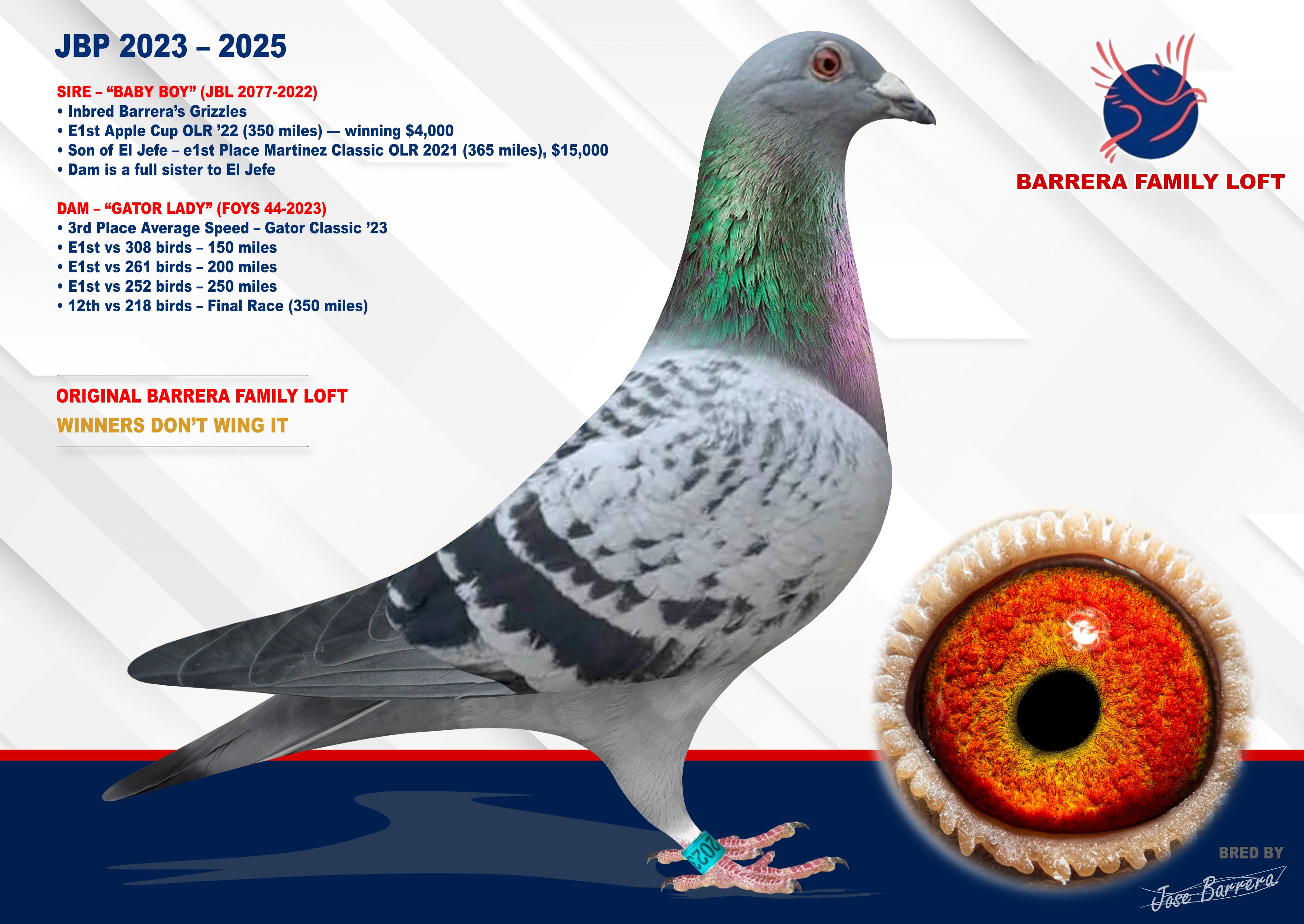 Blue Check (Barreras Grizzles x gator lady) check her race record! 