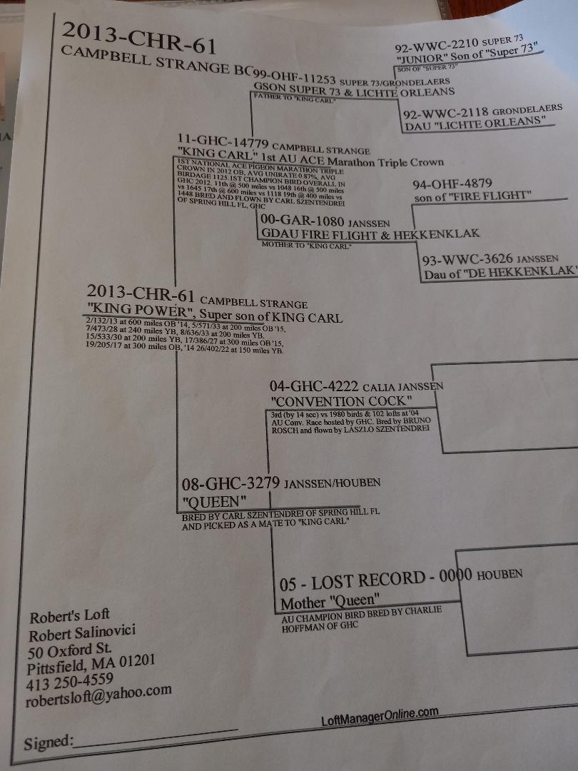 Preview Image 4