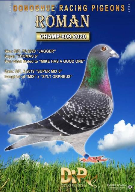 THOMAS 6 X SAMDPR FINALIST 