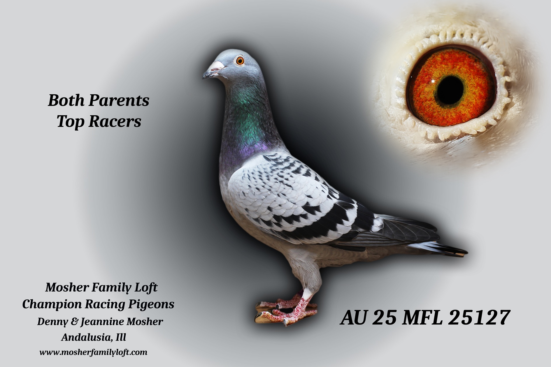 AU 25 MFL 25127 Hen ??