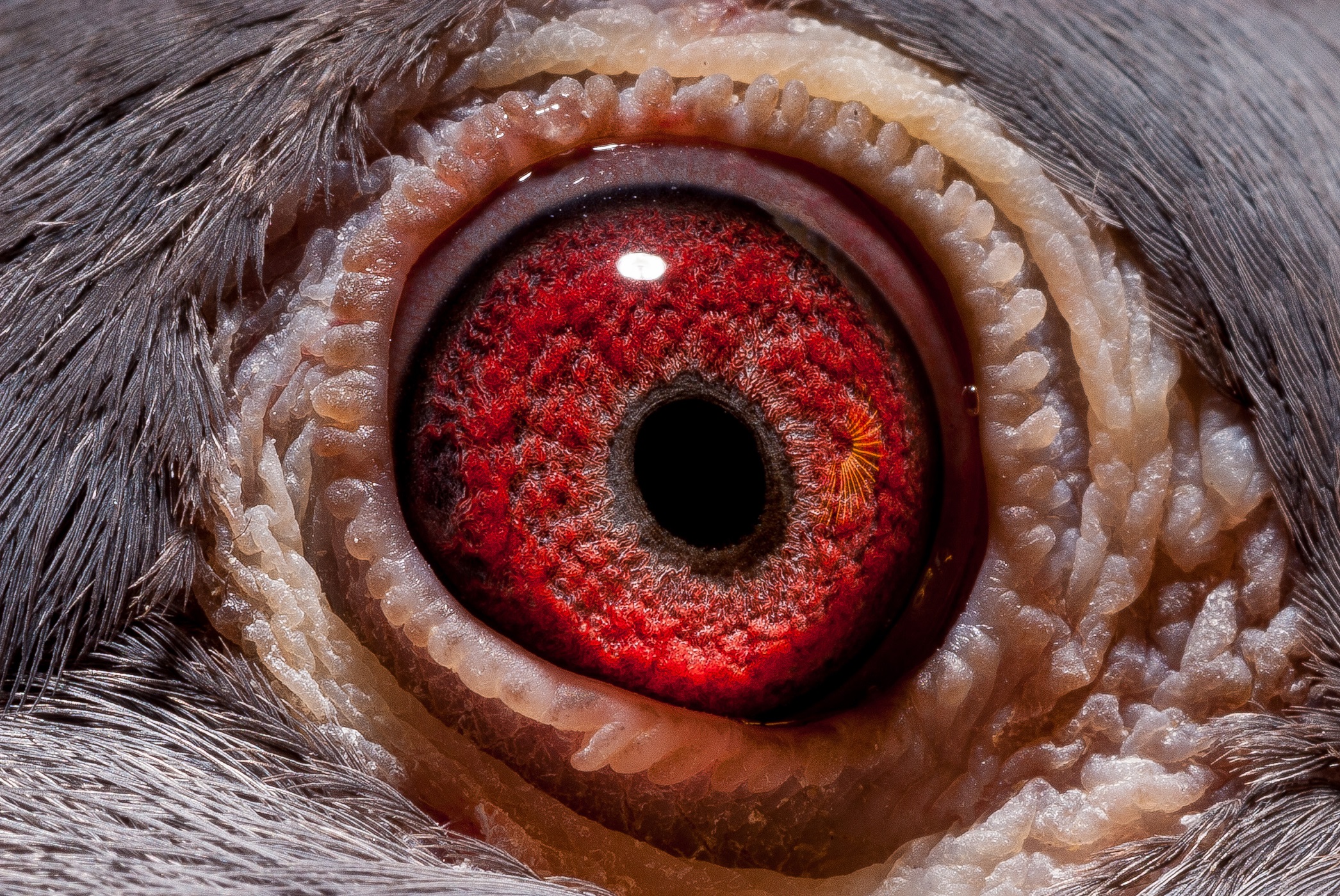 Preview Image 3