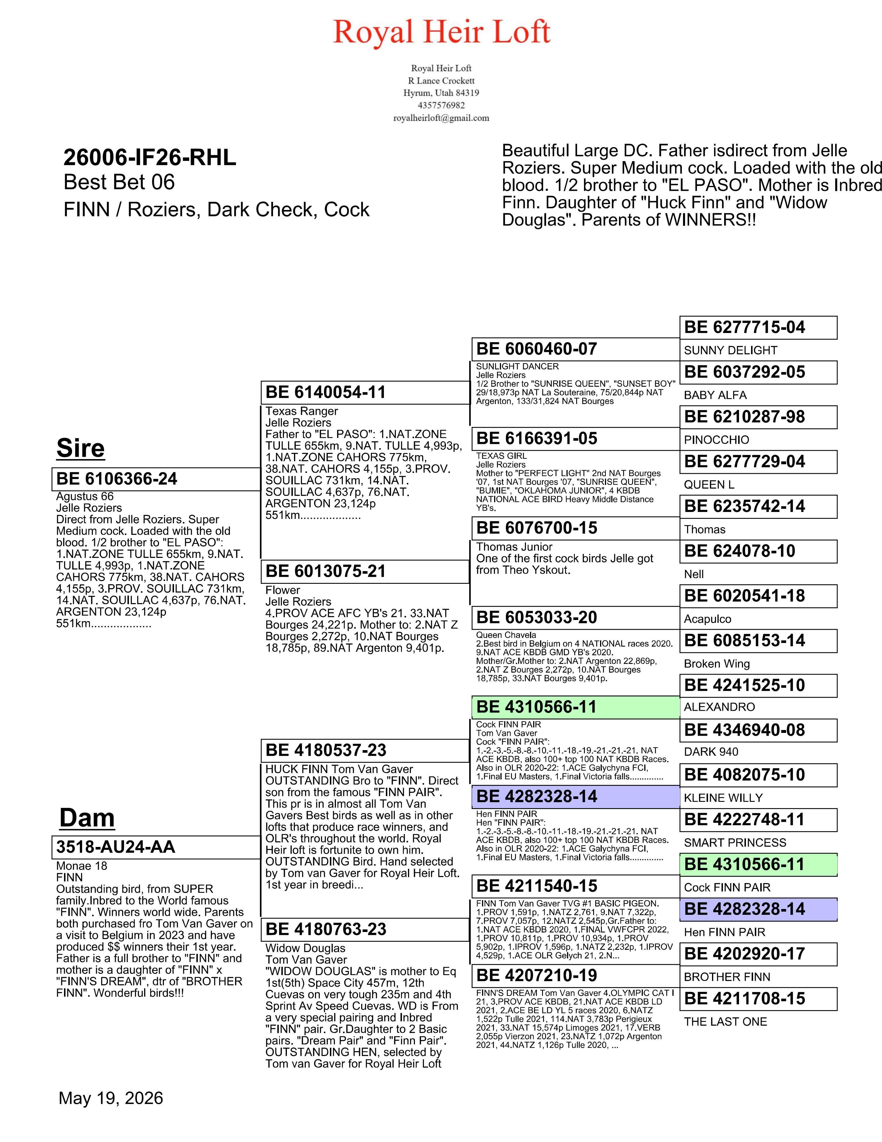 26006-IF26-RHL Dark Check (Black) Male