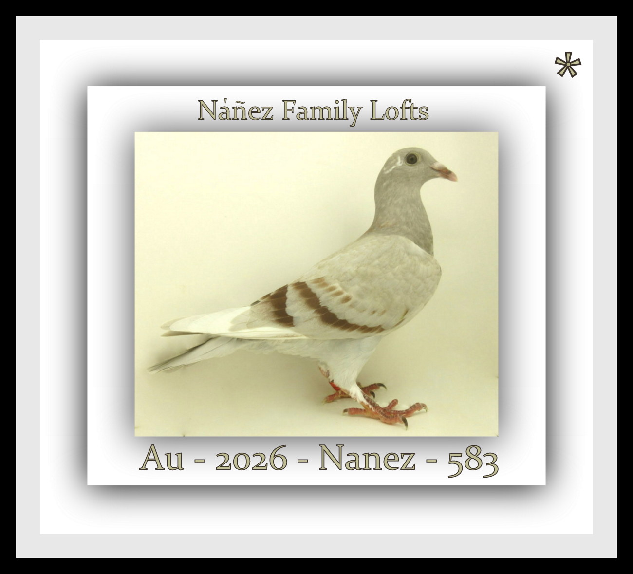 AU 2026 NANEZ 583