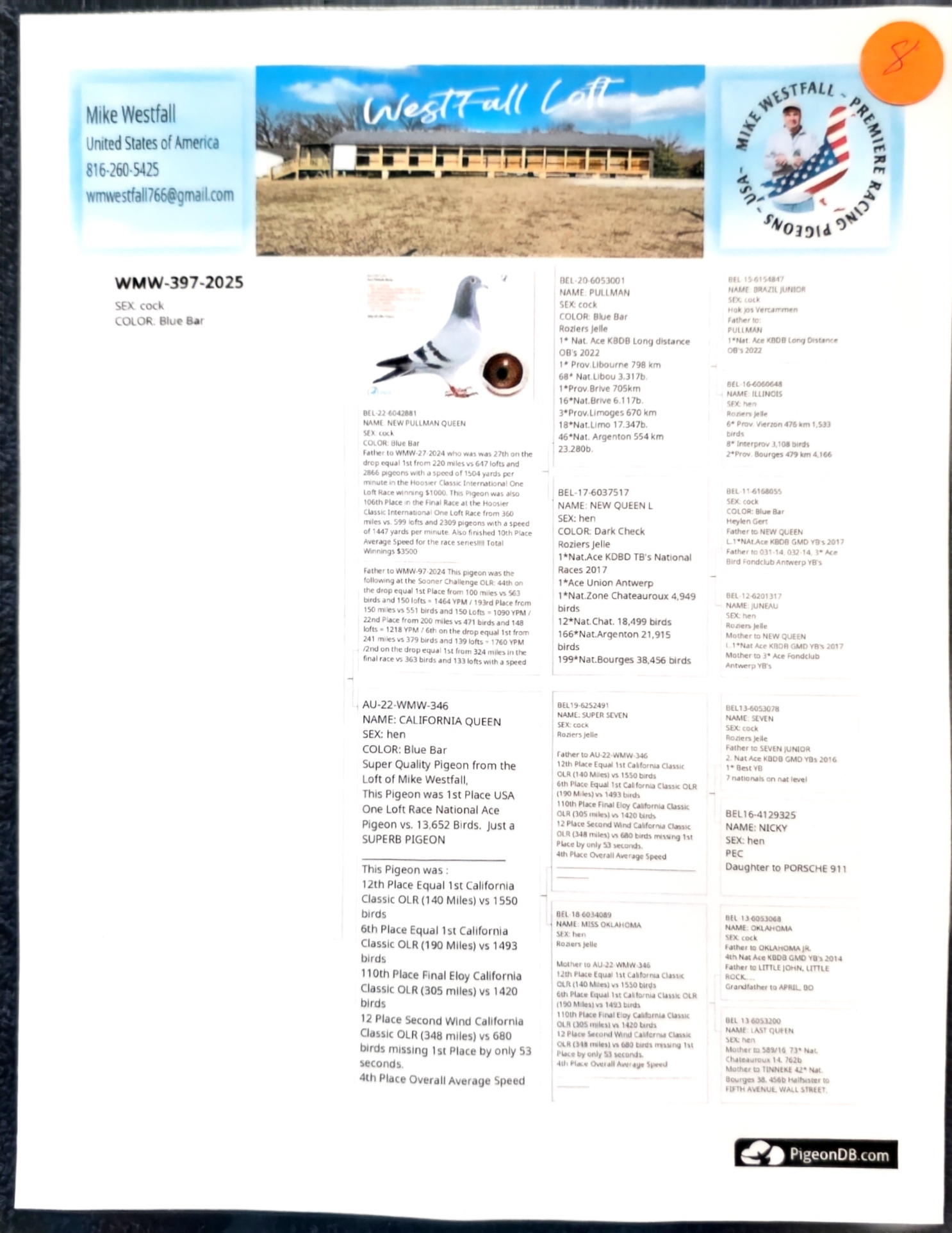 Preview Image 2
