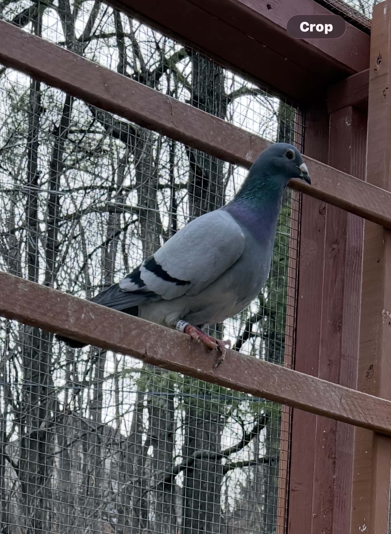 Best kittel and Leo Hermans cock 2025