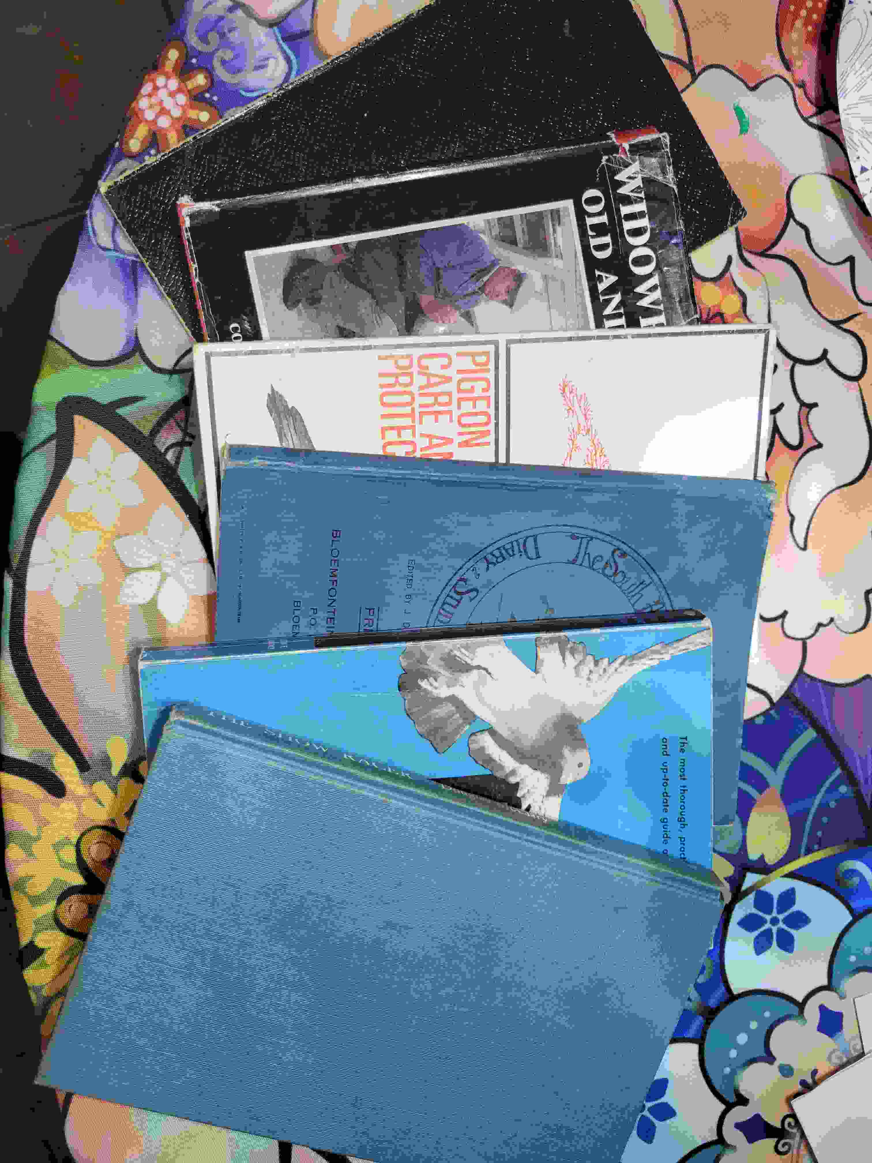 Vintage Book Collection