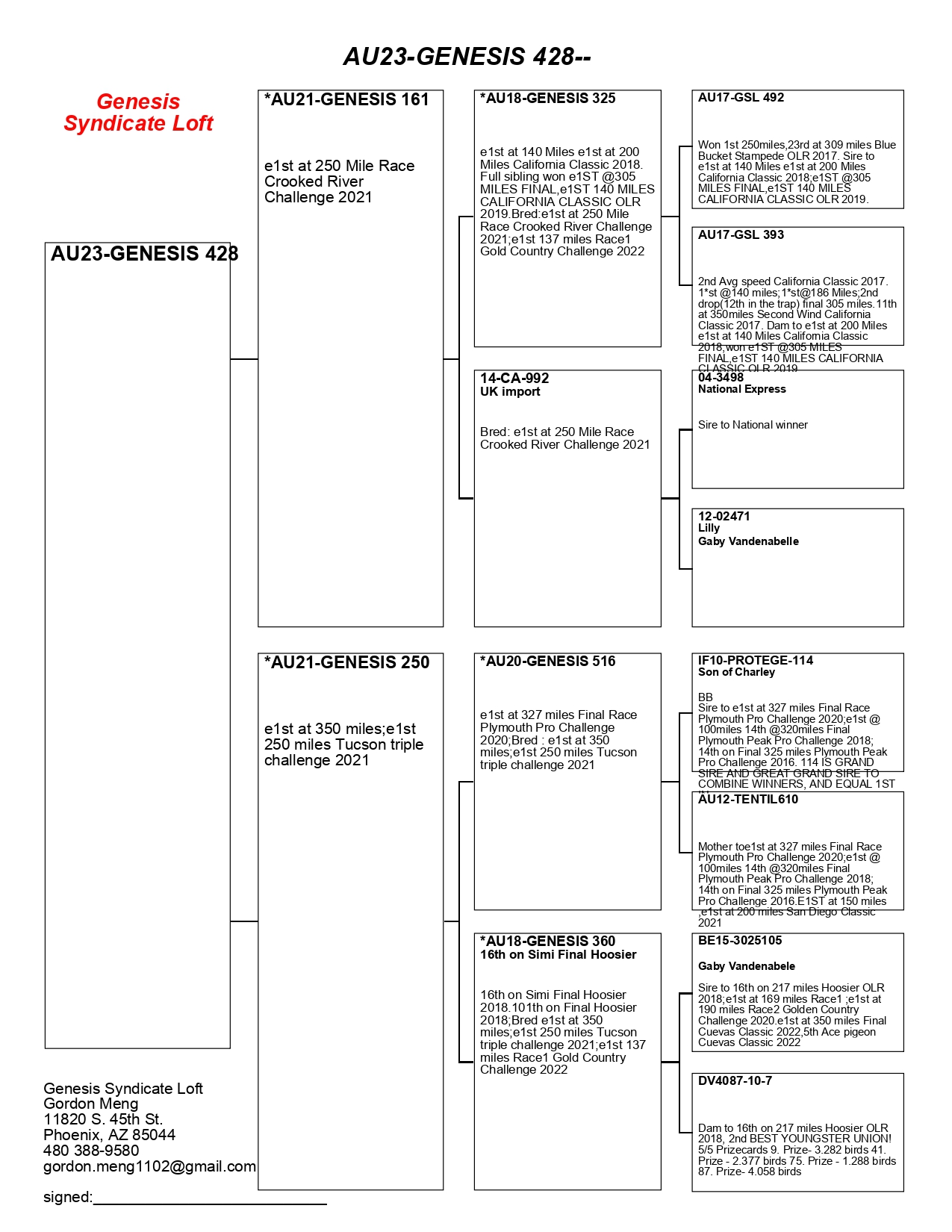 ipigeon-racing-pigeon-auction
