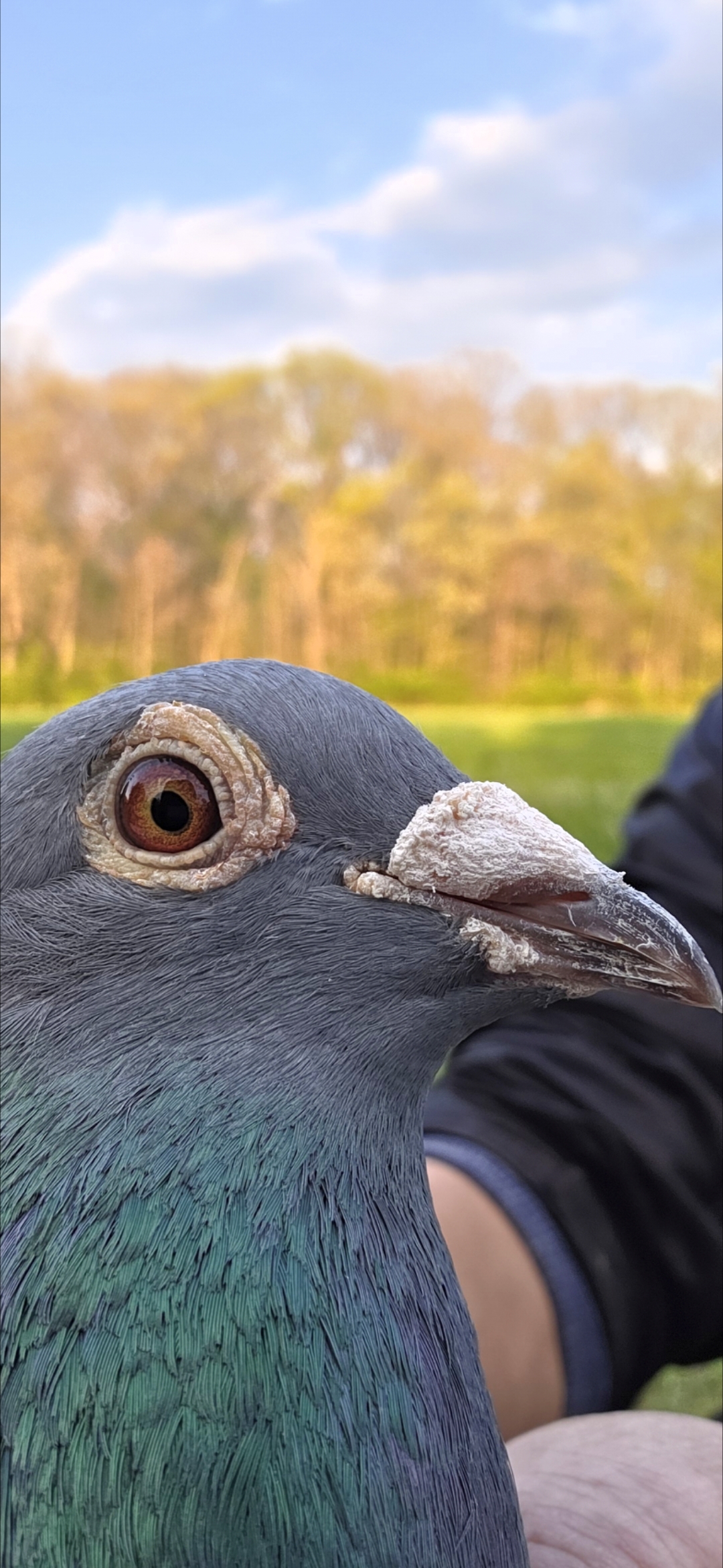Preview Image 2