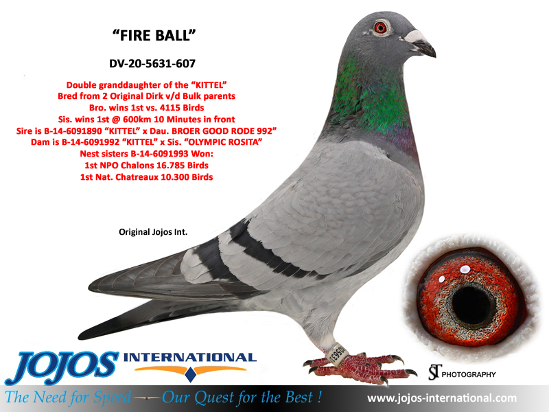 LOT # 46 AU-24-78966