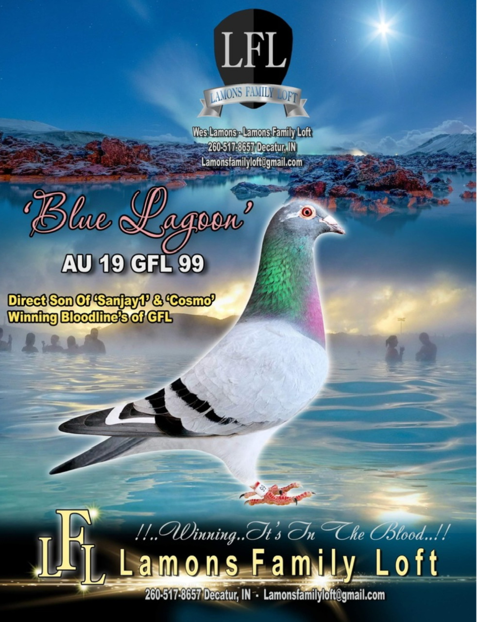 GFL 99-2019 “Cock”