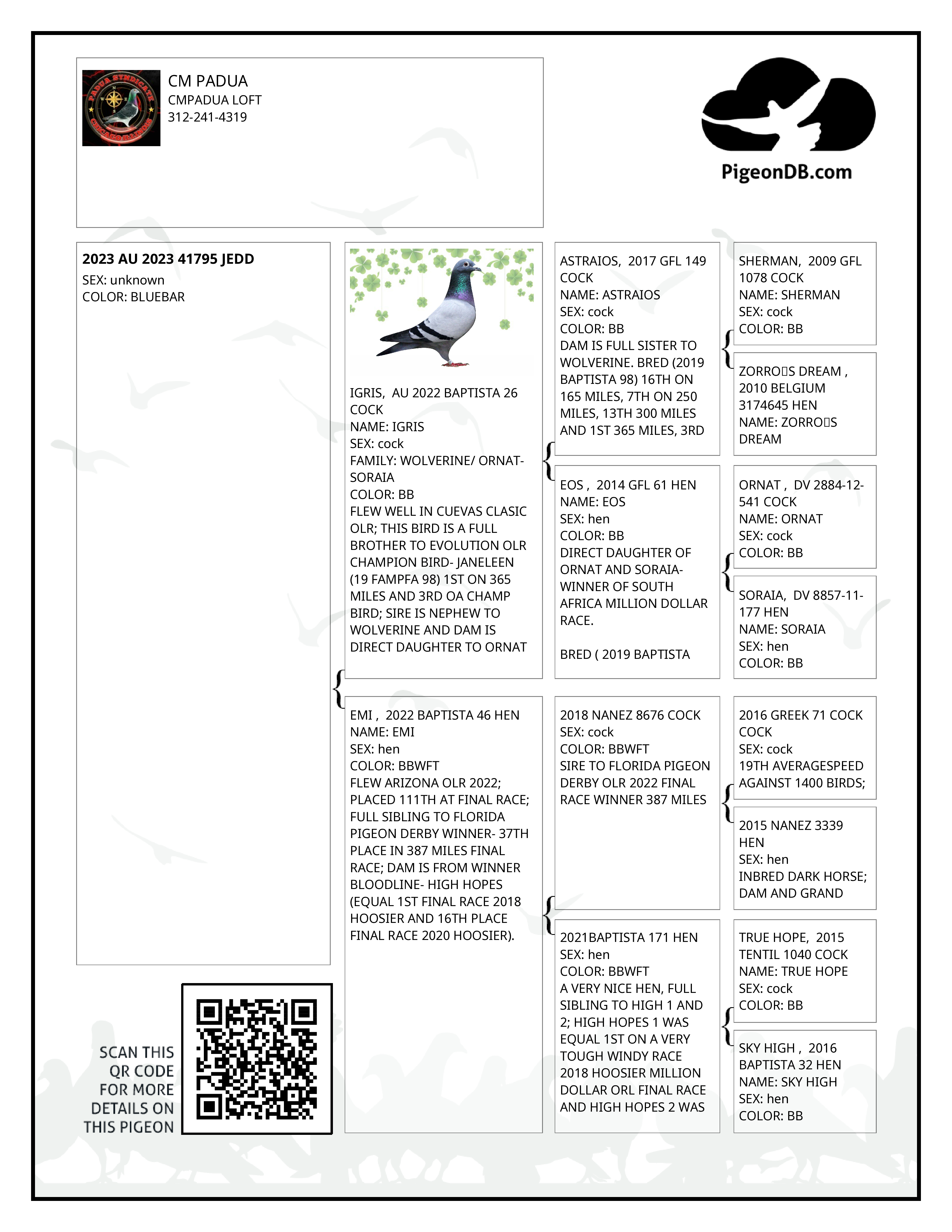 Preview Image 2