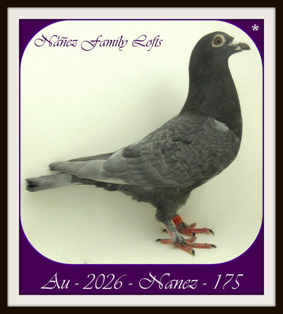 AU 2026 NANEZ 175