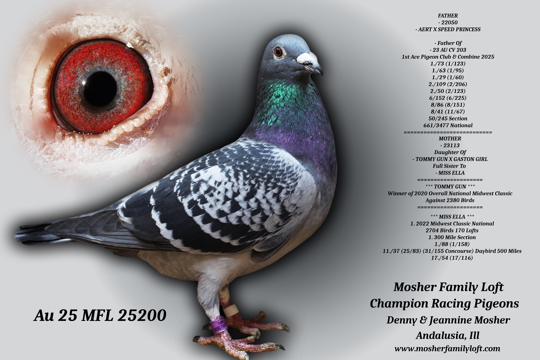 AU 25 MFL 25200 Cock