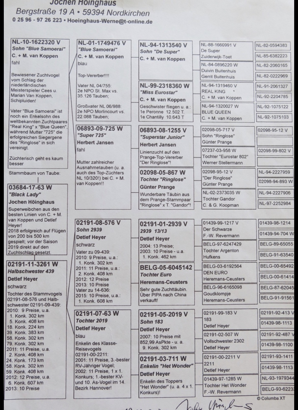 Black hen - Leo Hereman - 