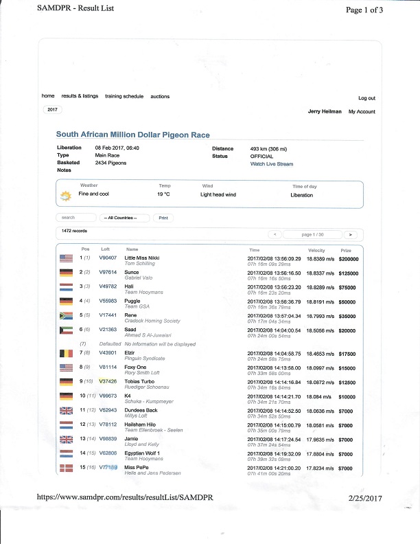 Preview Image 4